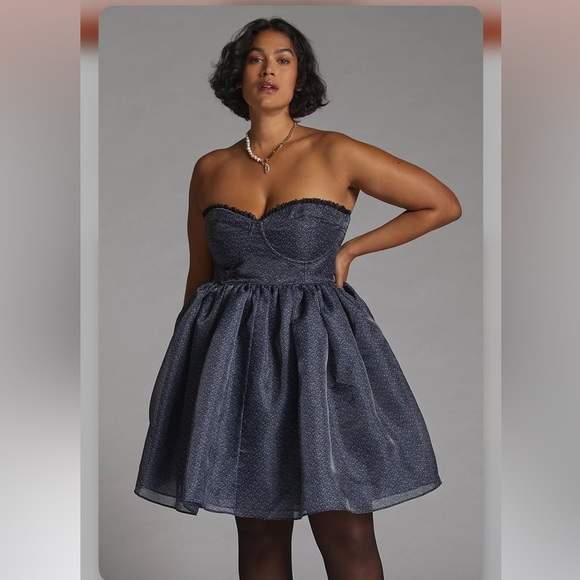 Anthropologie Selkie Seamed Tulle Mini Dress Size 16W NWT - Picture 1 of 17